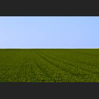 IMG_0143.jpg